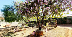 Para quem buscar lugar tranquilo, em contato com a natureza, local para plantar, morar em uma área totalmente fechada, com fácil acesso, em Nova Betânia.