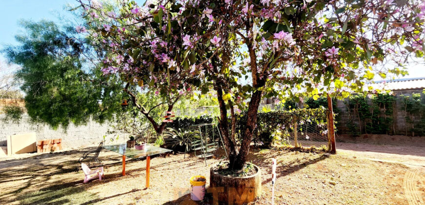 Para quem buscar lugar tranquilo, em contato com a natureza, local para plantar, morar em uma área totalmente fechada, com fácil acesso, em Nova Betânia.
