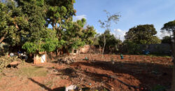 CASA COM 3 QUARTOS, SUITE, NA LAJE, LOTÃO DE 1250 METROS, NO CONDOMINIO MANSÕES BRAUNA, NO JARDIM BOTANICO DE BRASILIA/DF