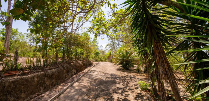 Chácara com 4 hectares, com córrego, Bem Localizada, no Cavas de Baixo, Perto da ponte do Rio São Bartolomeu em São Sebastião/DF.