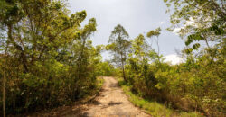 Chácara com 4 hectares, com córrego, Bem Localizada, no Cavas de Baixo, Perto da ponte do Rio São Bartolomeu em São Sebastião/DF.