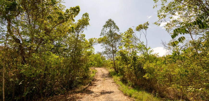 Chácara com 4 hectares, com córrego, Bem Localizada, no Cavas de Baixo, Perto da ponte do Rio São Bartolomeu em São Sebastião/DF.