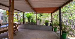 Chácara com 4 hectares, com córrego, Bem Localizada, no Cavas de Baixo, Perto da ponte do Rio São Bartolomeu em São Sebastião/DF.