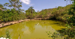 Chácara com 4 hectares, com córrego, Bem Localizada, no Cavas de Baixo, Perto da ponte do Rio São Bartolomeu em São Sebastião/DF.