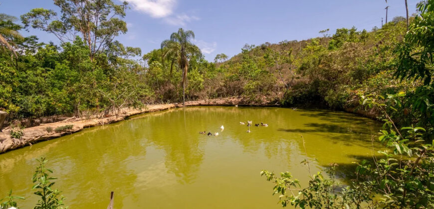 Chácara com 4 hectares, com córrego, Bem Localizada, no Cavas de Baixo, Perto da ponte do Rio São Bartolomeu em São Sebastião/DF.