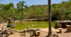 Chácara com 4 hectares, com córrego, Bem Localizada, no Cavas de Baixo, Perto da ponte do Rio São Bartolomeu em São Sebastião/DF.