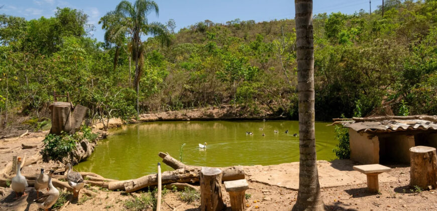 Chácara com 4 hectares, com córrego, Bem Localizada, no Cavas de Baixo, Perto da ponte do Rio São Bartolomeu em São Sebastião/DF.