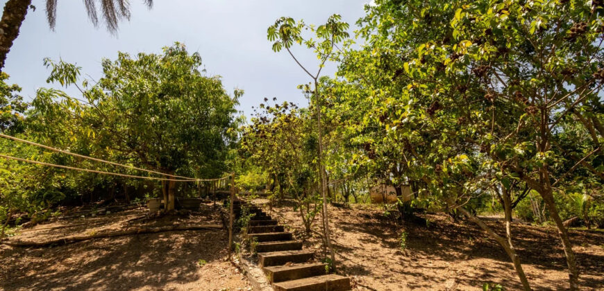 Chácara com 4 hectares, com córrego, Bem Localizada, no Cavas de Baixo, Perto da ponte do Rio São Bartolomeu em São Sebastião/DF.