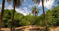 Chácara com 4 hectares, com córrego, Bem Localizada, no Cavas de Baixo, Perto da ponte do Rio São Bartolomeu em São Sebastião/DF.