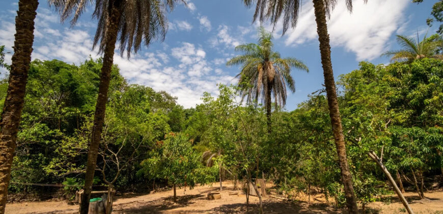 Chácara com 4 hectares, com córrego, Bem Localizada, no Cavas de Baixo, Perto da ponte do Rio São Bartolomeu em São Sebastião/DF.