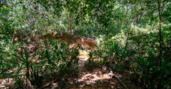 Chácara com 4 hectares, com córrego, Bem Localizada, no Cavas de Baixo, Perto da ponte do Rio São Bartolomeu em São Sebastião/DF.