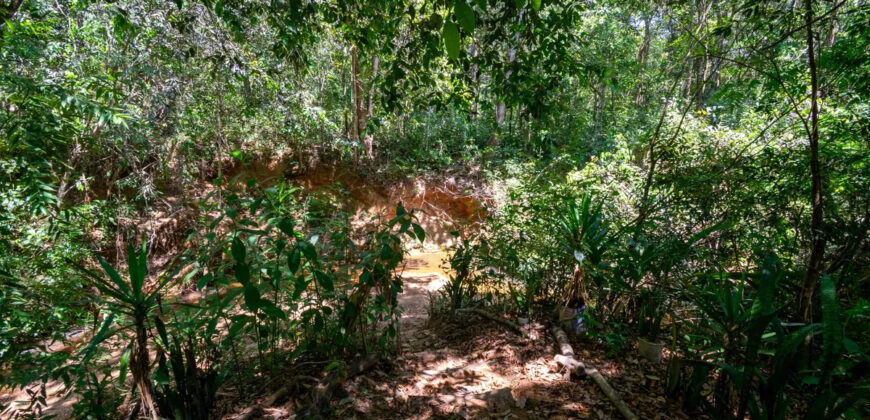 Chácara com 4 hectares, com córrego, Bem Localizada, no Cavas de Baixo, Perto da ponte do Rio São Bartolomeu em São Sebastião/DF.