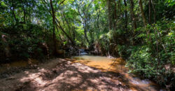 Chácara com 4 hectares, com córrego, Bem Localizada, no Cavas de Baixo, Perto da ponte do Rio São Bartolomeu em São Sebastião/DF.