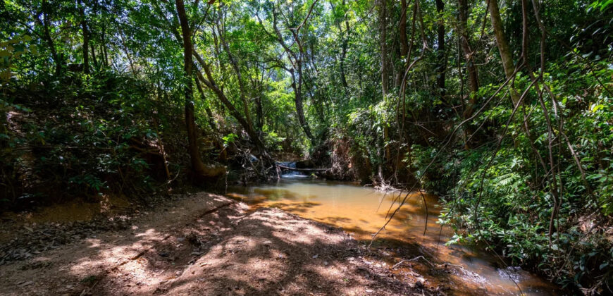 Chácara com 4 hectares, com córrego, Bem Localizada, no Cavas de Baixo, Perto da ponte do Rio São Bartolomeu em São Sebastião/DF.