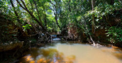 Chácara com 4 hectares, com córrego, Bem Localizada, no Cavas de Baixo, Perto da ponte do Rio São Bartolomeu em São Sebastião/DF.