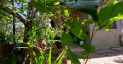 Chácara com 4 hectares, com córrego, Bem Localizada, no Cavas de Baixo, Perto da ponte do Rio São Bartolomeu em São Sebastião/DF.