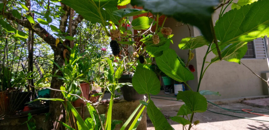 Chácara com 4 hectares, com córrego, Bem Localizada, no Cavas de Baixo, Perto da ponte do Rio São Bartolomeu em São Sebastião/DF.