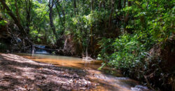 Chácara com 4 hectares, com córrego, Bem Localizada, no Cavas de Baixo, Perto da ponte do Rio São Bartolomeu em São Sebastião/DF.