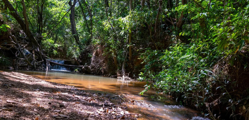 Chácara com 4 hectares, com córrego, Bem Localizada, no Cavas de Baixo, Perto da ponte do Rio São Bartolomeu em São Sebastião/DF.