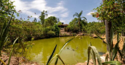 Chácara com 4 hectares, com córrego, Bem Localizada, no Cavas de Baixo, Perto da ponte do Rio São Bartolomeu em São Sebastião/DF.