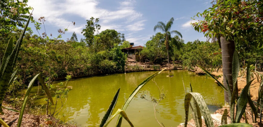 Chácara com 4 hectares, com córrego, Bem Localizada, no Cavas de Baixo, Perto da ponte do Rio São Bartolomeu em São Sebastião/DF.