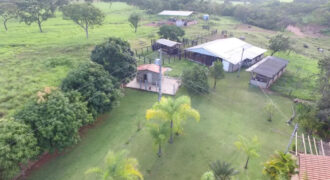Ótima fazendinha com área total de 60 hectares, excelente localização, apenas 4 km da cidade interior de Minas Gerais, área utilizável toda plana, terra de cultura, solo roxo e vermelho, altitude de 600 metros, região de grande bacia leiteira e lavoura de grãos.