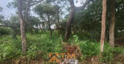 Excelente Lote com 338 Metros, Condomínio Gavea Bonita, em Frente ao Condominio Parque dos Mirantes, Região do Tororo, no Jardim Botânico/DF.