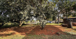 EXCELENTE CHACARA, COM LINDOS JARDINS, PARA QUEM BUSCA PAZ, TRANQUILADADE, LOCAL DE DESCANÇO, E CONTATO COM A NATUREZA, ALÉM DE UMA CASA PARA O CONFORTO FAMÍLIA.
