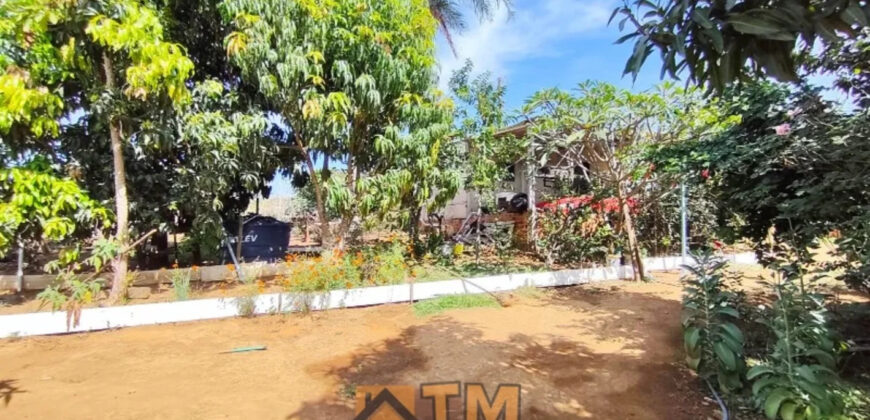 CHÁCARA DE 2.5 HECTARES NO CAFÉ SEM TROCO. 1° CASA COM 2 QUARTOS, SALA, COZINHA E BANHEIRO. 2° CASA COM 4 QUARTOS SENDO 2 SUÍTES, SALA, COPA, COZINHA, BANHEIRO SOCIAL, ÁREA DE SERVIÇO, VARANDA NA LATERAIS.