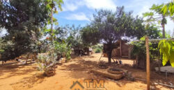 CHÁCARA DE 2.5 HECTARES NO CAFÉ SEM TROCO. 1° CASA COM 2 QUARTOS, SALA, COZINHA E BANHEIRO. 2° CASA COM 4 QUARTOS SENDO 2 SUÍTES, SALA, COPA, COZINHA, BANHEIRO SOCIAL, ÁREA DE SERVIÇO, VARANDA NA LATERAIS.