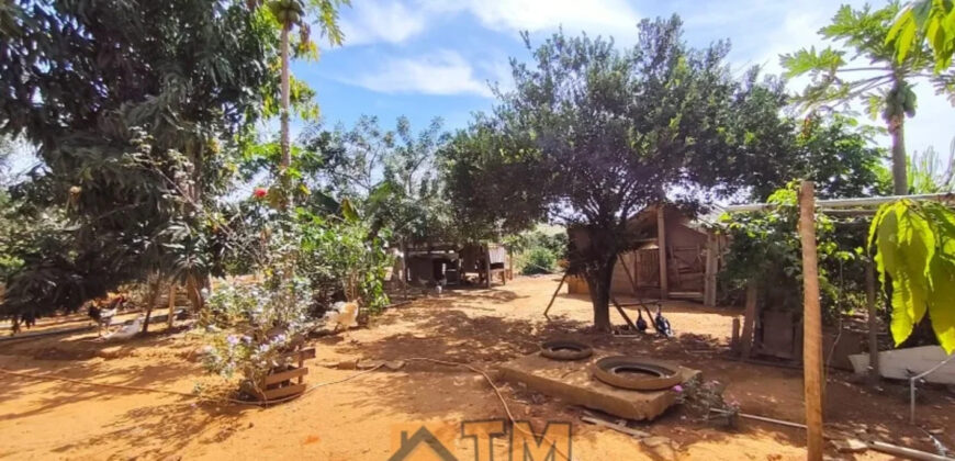 CHÁCARA DE 2.5 HECTARES NO CAFÉ SEM TROCO. 1° CASA COM 2 QUARTOS, SALA, COZINHA E BANHEIRO. 2° CASA COM 4 QUARTOS SENDO 2 SUÍTES, SALA, COPA, COZINHA, BANHEIRO SOCIAL, ÁREA DE SERVIÇO, VARANDA NA LATERAIS.