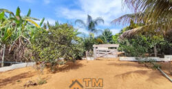 CHÁCARA DE 2.5 HECTARES NO CAFÉ SEM TROCO. 1° CASA COM 2 QUARTOS, SALA, COZINHA E BANHEIRO. 2° CASA COM 4 QUARTOS SENDO 2 SUÍTES, SALA, COPA, COZINHA, BANHEIRO SOCIAL, ÁREA DE SERVIÇO, VARANDA NA LATERAIS.