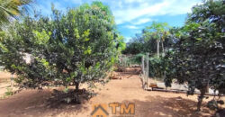 CHÁCARA DE 2.5 HECTARES NO CAFÉ SEM TROCO. 1° CASA COM 2 QUARTOS, SALA, COZINHA E BANHEIRO. 2° CASA COM 4 QUARTOS SENDO 2 SUÍTES, SALA, COPA, COZINHA, BANHEIRO SOCIAL, ÁREA DE SERVIÇO, VARANDA NA LATERAIS.