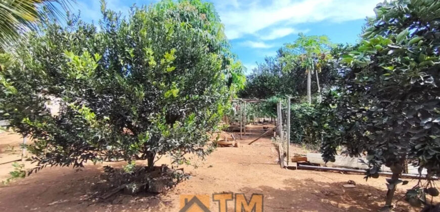 CHÁCARA DE 2.5 HECTARES NO CAFÉ SEM TROCO. 1° CASA COM 2 QUARTOS, SALA, COZINHA E BANHEIRO. 2° CASA COM 4 QUARTOS SENDO 2 SUÍTES, SALA, COPA, COZINHA, BANHEIRO SOCIAL, ÁREA DE SERVIÇO, VARANDA NA LATERAIS.