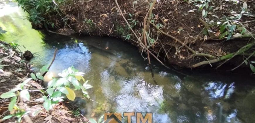 CHÁCARA DE 2.5 HECTARES NO CAFÉ SEM TROCO. 1° CASA COM 2 QUARTOS, SALA, COZINHA E BANHEIRO. 2° CASA COM 4 QUARTOS SENDO 2 SUÍTES, SALA, COPA, COZINHA, BANHEIRO SOCIAL, ÁREA DE SERVIÇO, VARANDA NA LATERAIS.