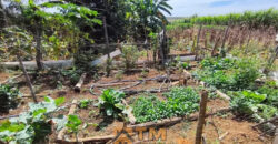 CHÁCARA DE 2.5 HECTARES NO CAFÉ SEM TROCO. 1° CASA COM 2 QUARTOS, SALA, COZINHA E BANHEIRO. 2° CASA COM 4 QUARTOS SENDO 2 SUÍTES, SALA, COPA, COZINHA, BANHEIRO SOCIAL, ÁREA DE SERVIÇO, VARANDA NA LATERAIS.