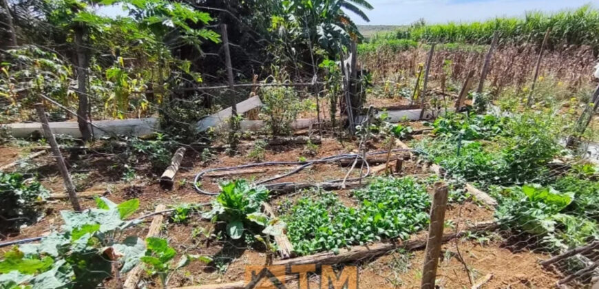 CHÁCARA DE 2.5 HECTARES NO CAFÉ SEM TROCO. 1° CASA COM 2 QUARTOS, SALA, COZINHA E BANHEIRO. 2° CASA COM 4 QUARTOS SENDO 2 SUÍTES, SALA, COPA, COZINHA, BANHEIRO SOCIAL, ÁREA DE SERVIÇO, VARANDA NA LATERAIS.