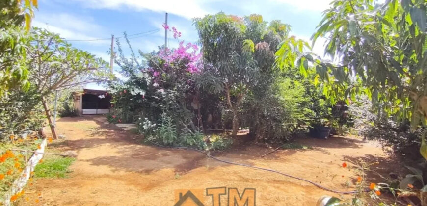 CHÁCARA DE 2.5 HECTARES NO CAFÉ SEM TROCO. 1° CASA COM 2 QUARTOS, SALA, COZINHA E BANHEIRO. 2° CASA COM 4 QUARTOS SENDO 2 SUÍTES, SALA, COPA, COZINHA, BANHEIRO SOCIAL, ÁREA DE SERVIÇO, VARANDA NA LATERAIS.